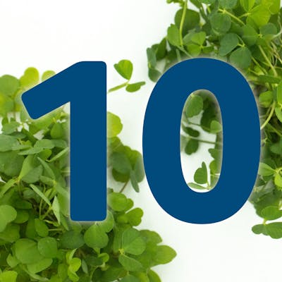 St. Patrick's Day Countdown: Roasties