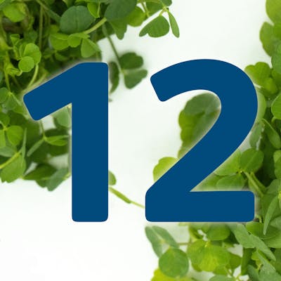 St. Patrick's Day Countdown: Colcannon