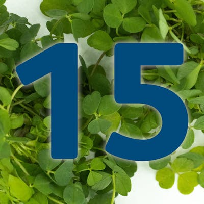 St. Patrick's Day Countdown: Potato salad