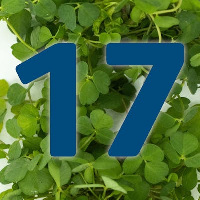 St. Patrick's Day Countdown: Crisp Sandwich?