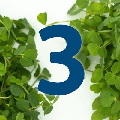 St. Patrick's Day Countdown:  A hug in a bowl