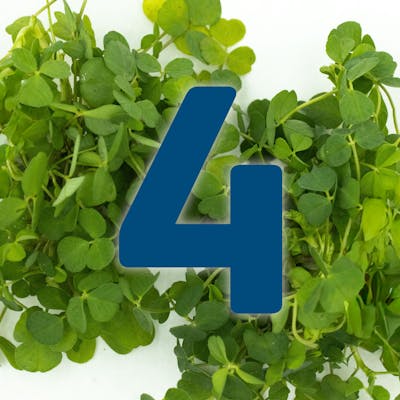 St. Patrick's Day Countdown: Irish seafood chowder