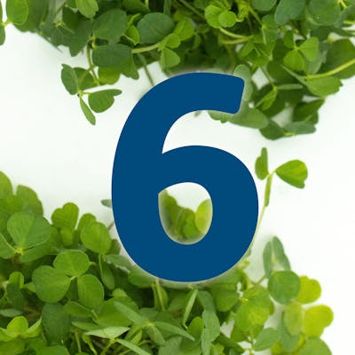 St. Patrick's Day Countdown: A Divisive Dublin Dish