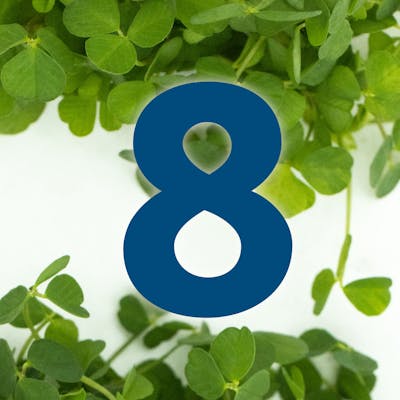 St. Patrick's Day Countdown: Shepherd's Pie