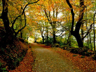 Jewellery for Autumn: Our style tips for sweater weather