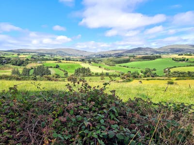 Picking our way into Autumn