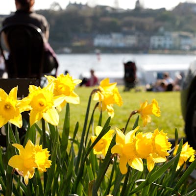 Weather in Ireland in Spring