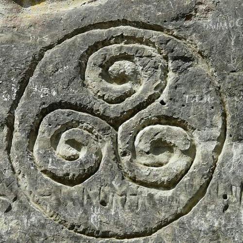 Ireland Sham Rocks A Symbol of Ireland: The Shamrock