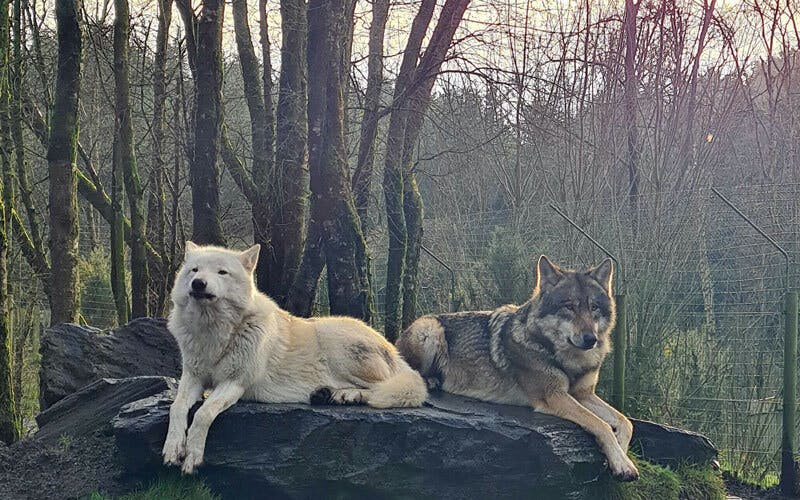 The Wild Atlantic Way turns Ten