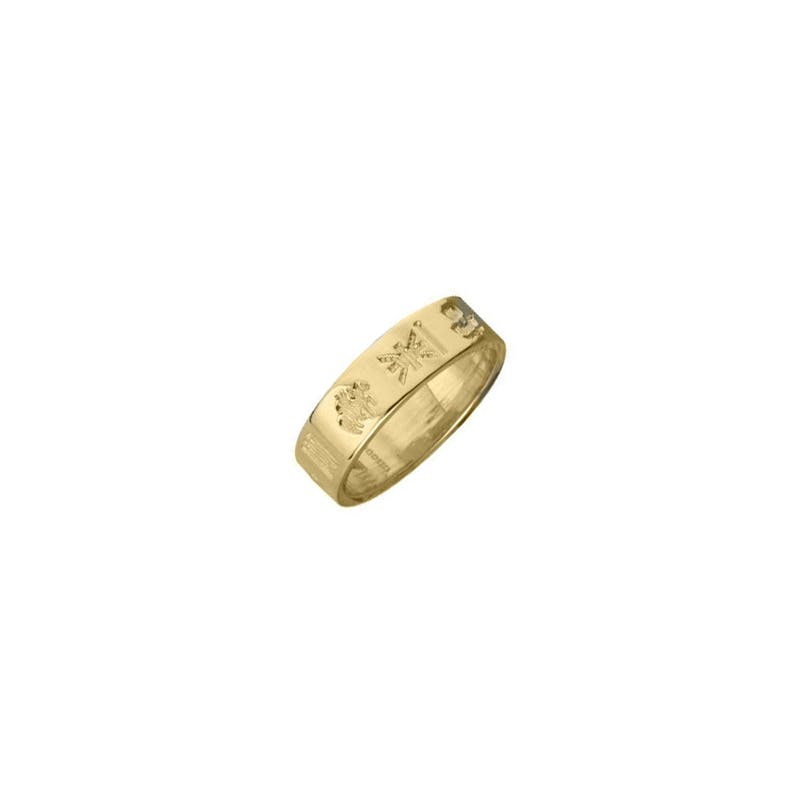 Mens History Of Ireland 6.0mm Ring in 18K Yellow Gold
