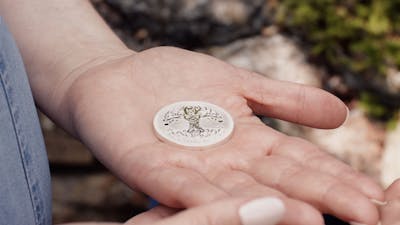 Traditional Irish Silver Gift Coins