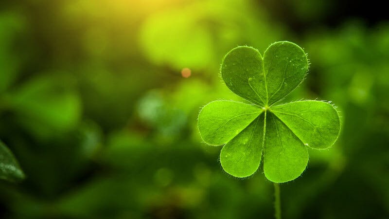 What Connects St Patrick and the Shamrock? What Connects St Patrick and the Shamrock?